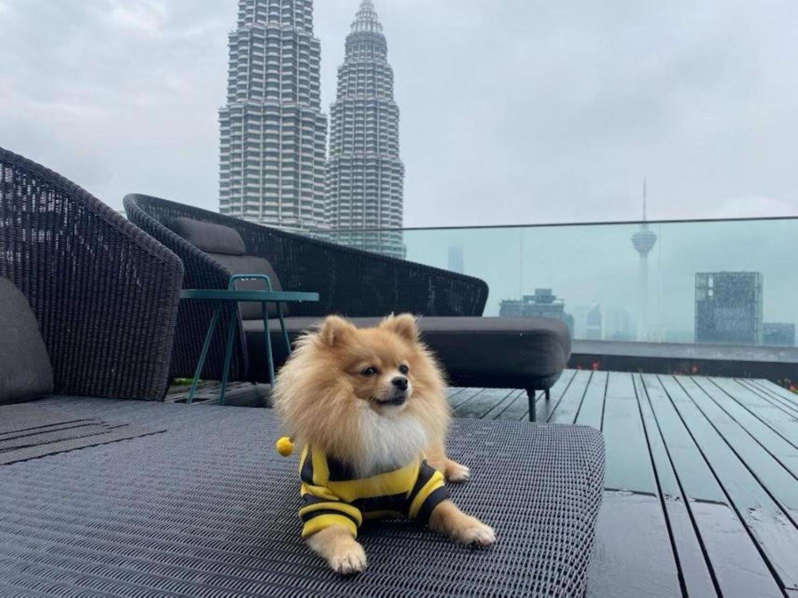 Klcc Star By Classy Pangsapuri Kuala Lumpur